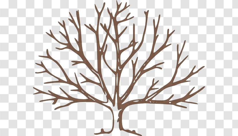 Tree Free Content Clip Art - Plant - Bare Cliparts Transparent PNG