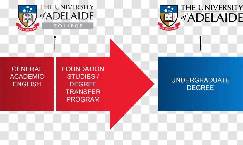 University Of Adelaide Business Management Academic Degree - Diagram Transparent PNG