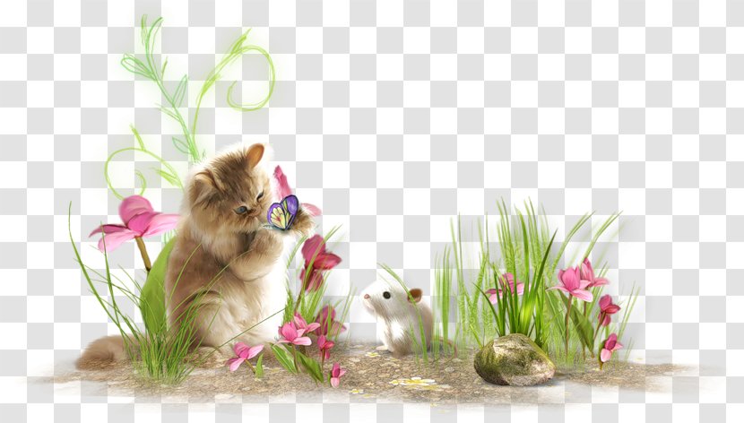 Cat Clip Art Image Computer Mouse - Flower Transparent PNG