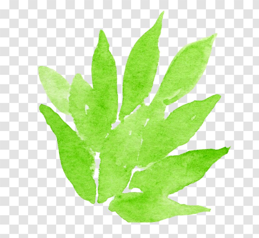 Watercolor: Flowers Watercolour Watercolor Painting Leaf - Grass - Leaves Transparent PNG