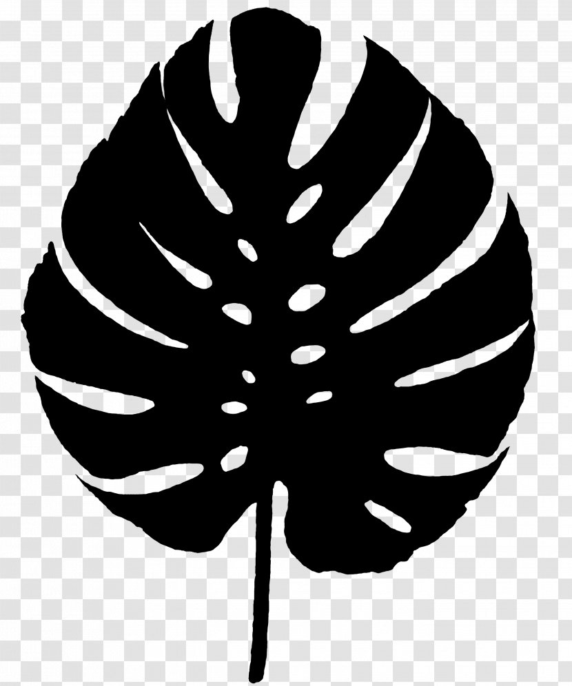 Black & White - Flower - M Leaf Flowering Plant Font Transparent PNG