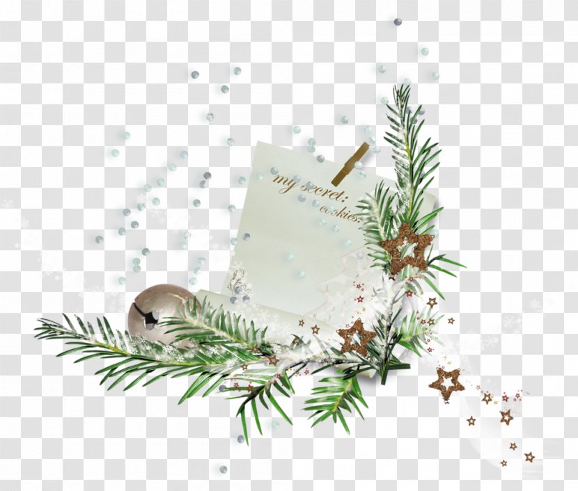 Christmas Ornament Day - Conifer - Snow Branches Transparent PNG