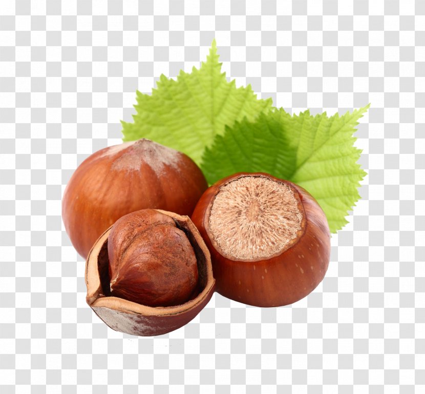 Hazelnut Orzech Fruit Common Hazel - Butter - Mixed Nuts Transparent PNG