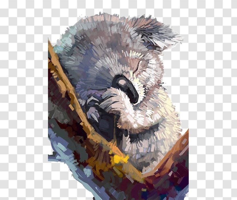 Koala Painting Drawing Art Illustration - Cartoon - Hand-painted Transparent PNG