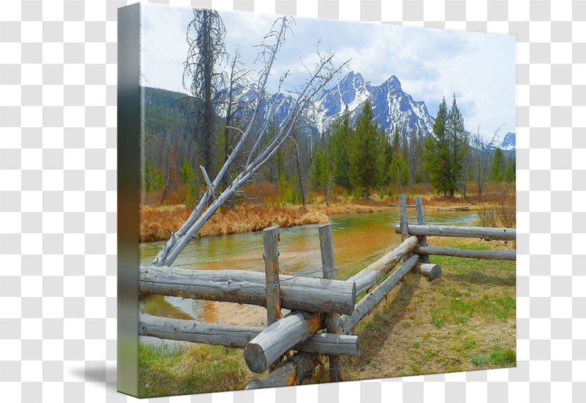 Fence State Park - Grass Transparent PNG