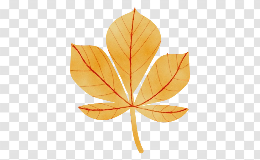 Leaf Maple Leaf / M Symmetry Biology Mathematics Transparent PNG