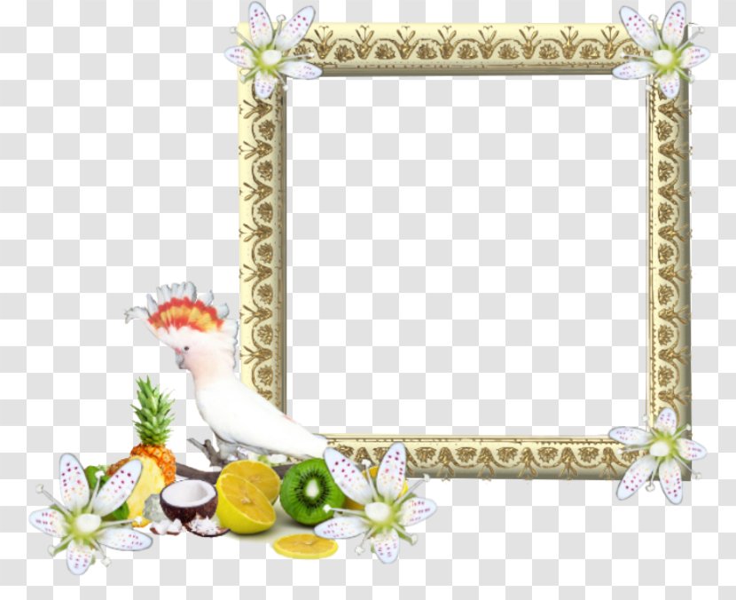 Picture Frames - Rectangle - Photo Montage Transparent PNG