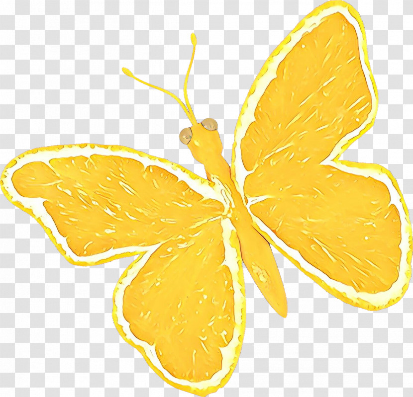 Yellow Butterfly Moths And Butterflies Leaf Pollinator Transparent PNG