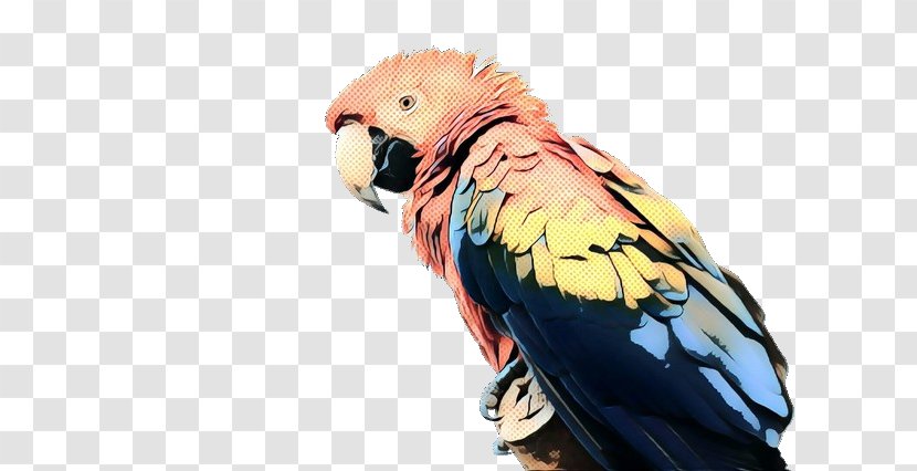 Vintage Background - Parrot - Budgie Wing Transparent PNG