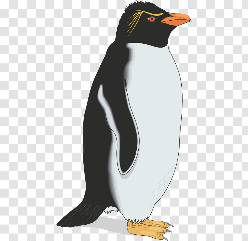 Gentoo Penguin Emperor Southern Rockhopper - Fauna Transparent PNG