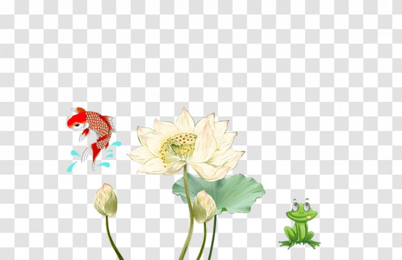 China Fish - Flower Arranging - Chinese Lotus Frog Creative Elements Transparent PNG