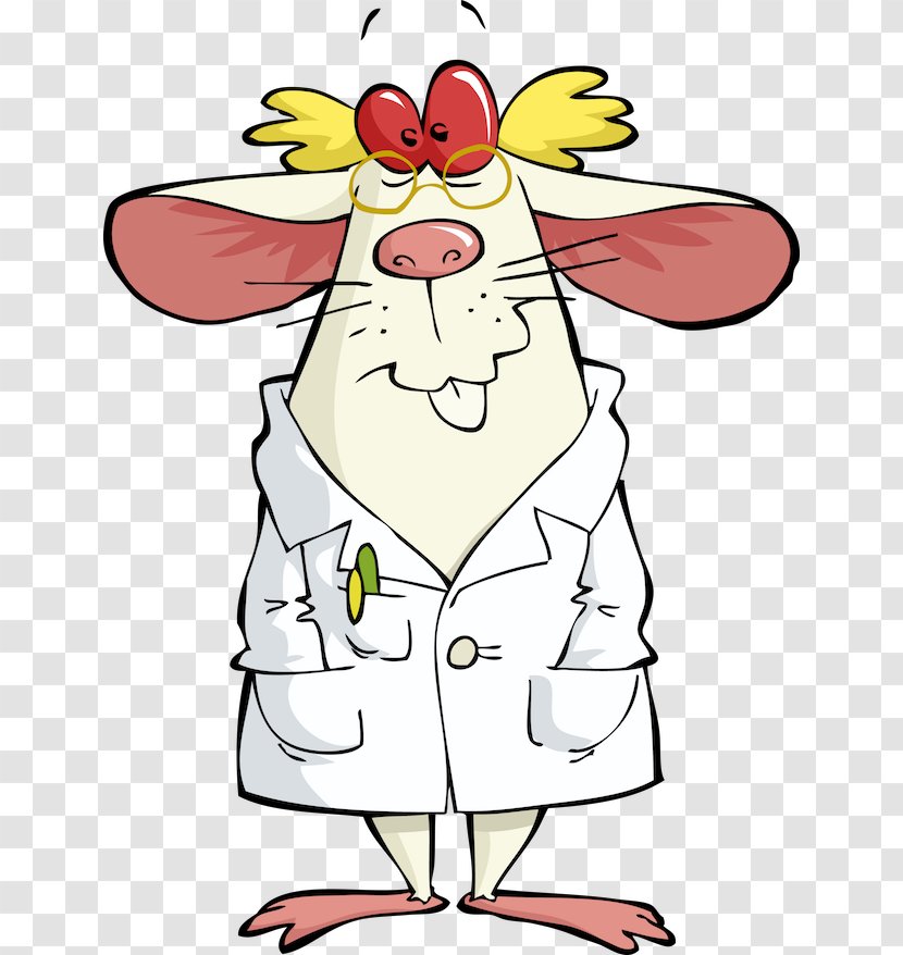 Laboratory Mouse Lab Coats Stock Photography - Organism - Experiment Transparent PNG