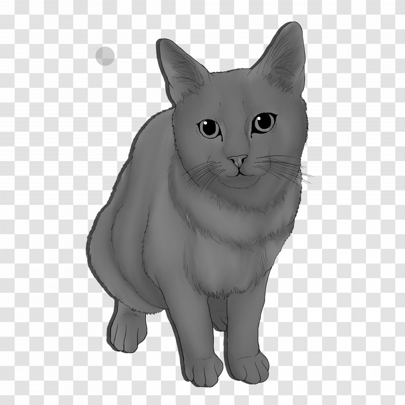 Korat Chartreux Burmese Cat Manx Nebelung - Carnivoran - Starburst Transparent PNG