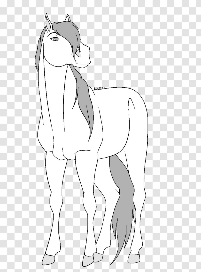 Mule Bridle Mustang Mane Drawing - Horse - Spirit Transparent PNG