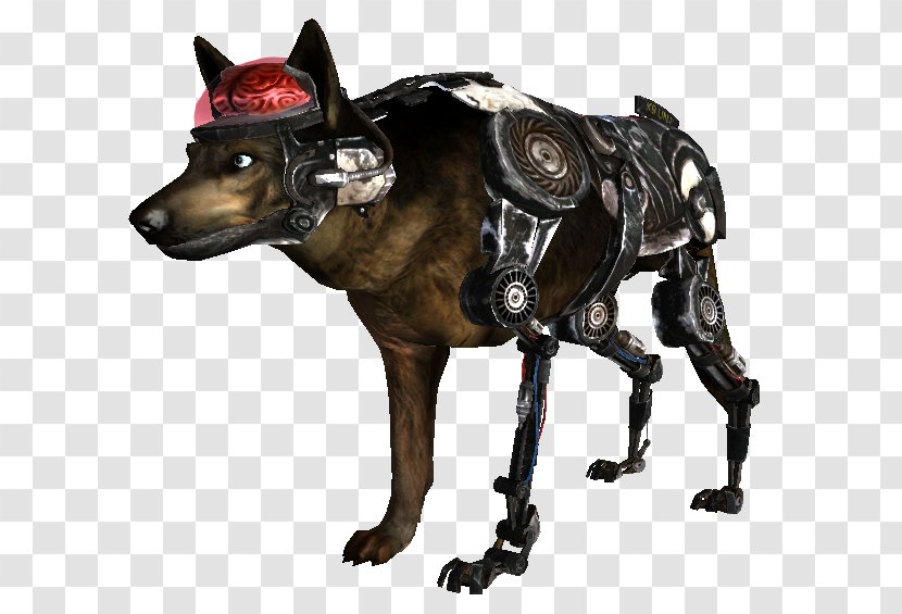 Fallout: New Vegas Fallout 3 Dog 2 - Snout Transparent PNG