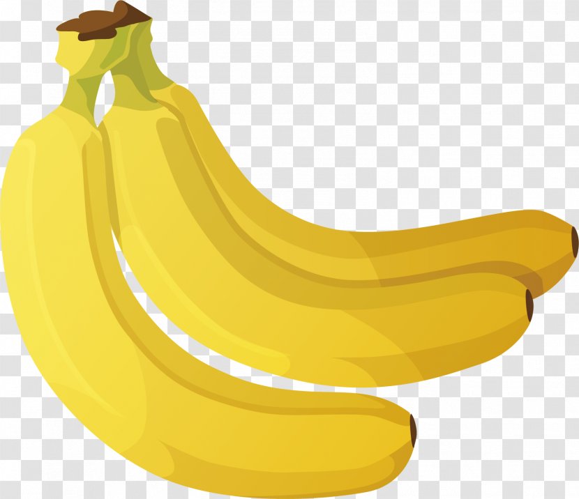 Vegetarian Cuisine Fruit Banana Vector Graphics - Nut - Indiana Bananas Transparent PNG