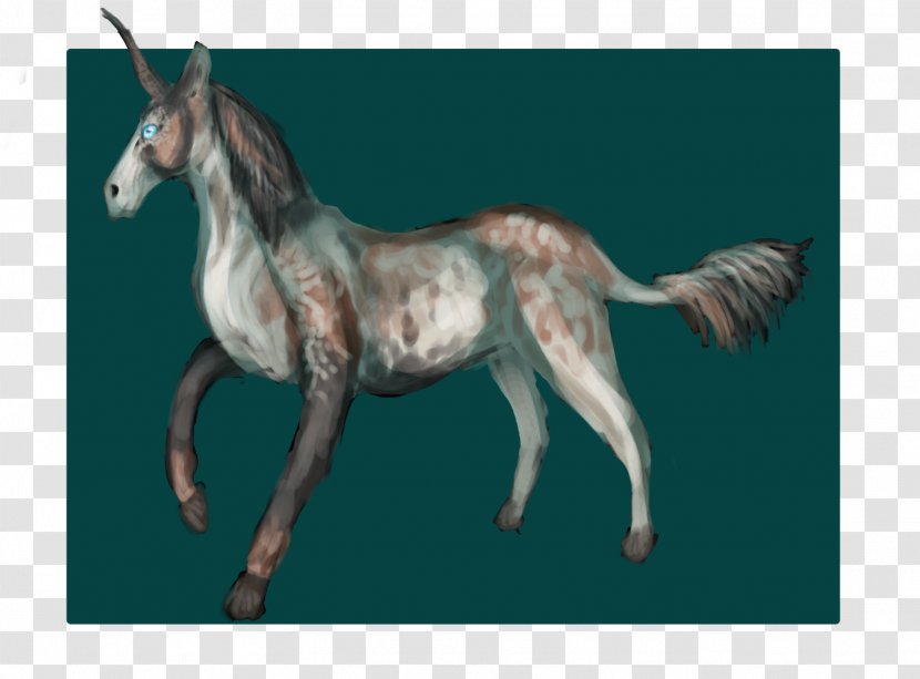 Mule Mustang Foal Stallion Colt - Horse Tack Transparent PNG