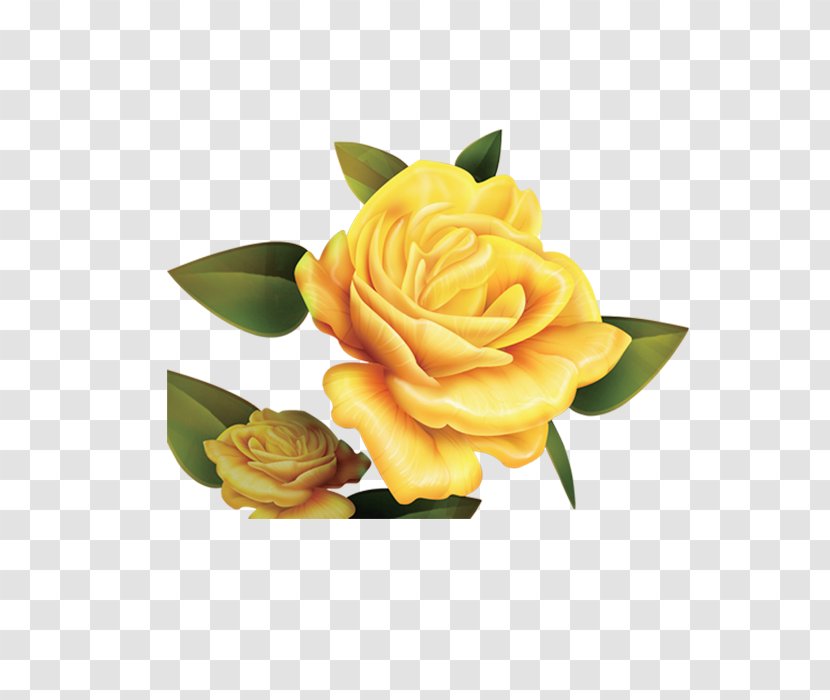 Garden Roses Paper Beach Rose Yellow Parchment Transparent PNG