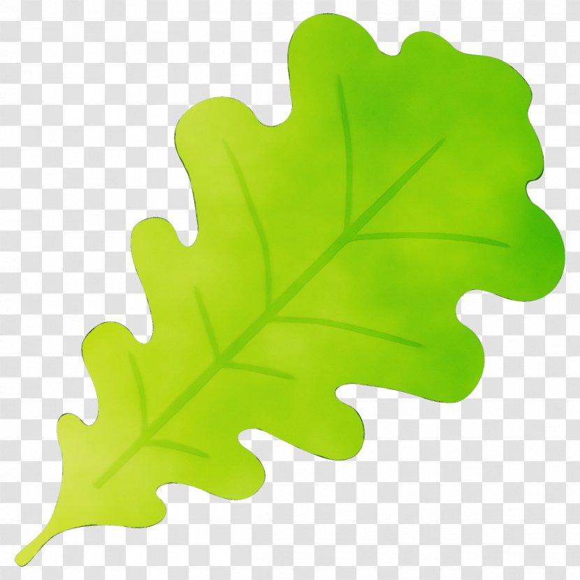 Maple Leaf - Paint - Flowering Plant Transparent PNG