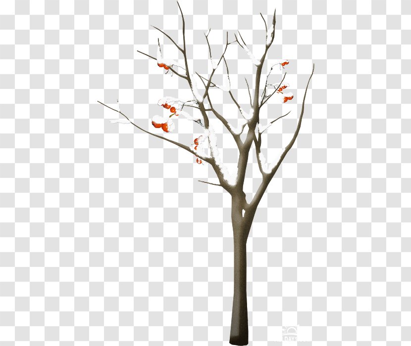 Tree Clip Art - Branch Transparent PNG