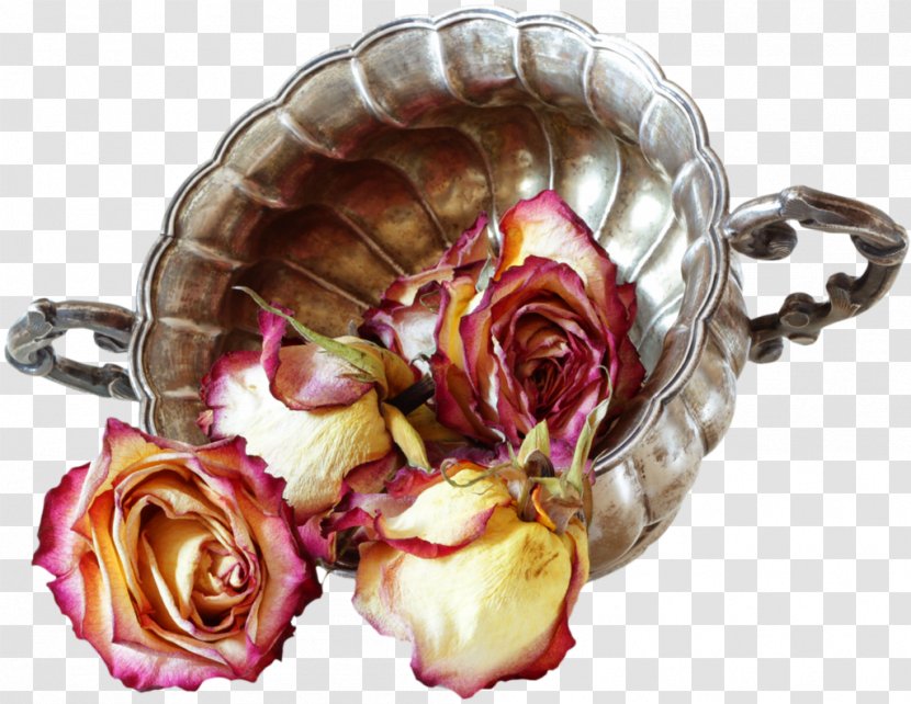 Garden Roses Stock Photography - Rose Transparent PNG