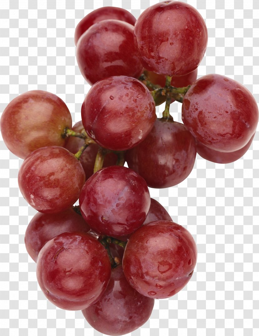 Juice Grape Clip Art - Cranberry - Image Transparent PNG