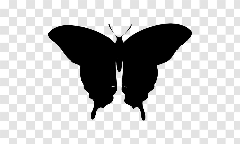Clip Art Butterfly Image Silhouette Stock.xchng - Insect Transparent PNG