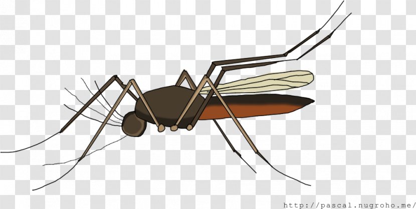 Mosquito Ant Beetle Dragonfly - Bangun Tidur Transparent PNG