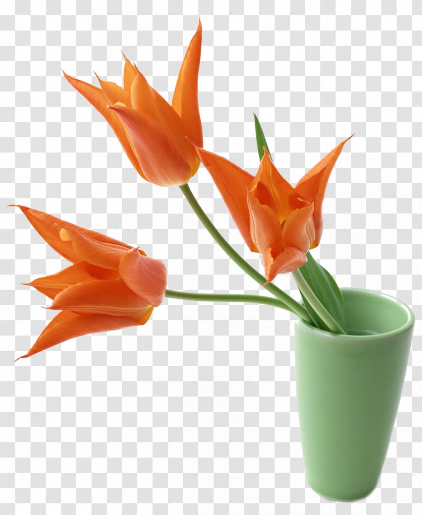 Vase Flower Decorative Arts Interior Design Services - Floral - Tulips Transparent PNG