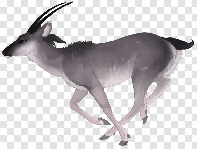Antelope Deer Watercolor Painting - Horn - Vector Transparent PNG