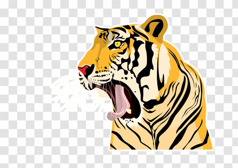 Bengal Tiger Roar Felidae Bear Animal - Head - Hand-painted Transparent PNG