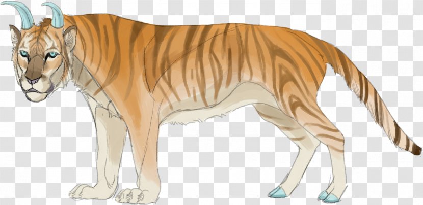 Tiger Lion Quagga Cat Terrestrial Animal Transparent PNG