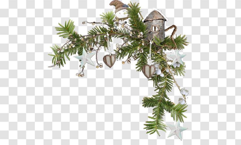 Fir Christmas Ornament Tree Picture Frames Transparent PNG