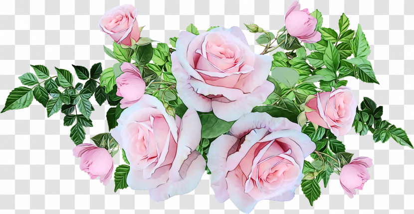 Garden Roses Transparent PNG