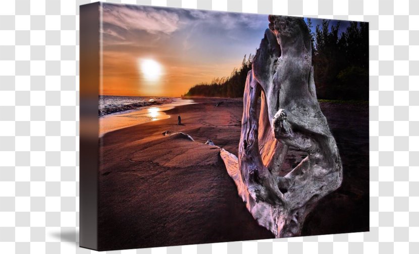 Stock Photography Wood Heat /m/083vt - Beach Sunset Transparent PNG