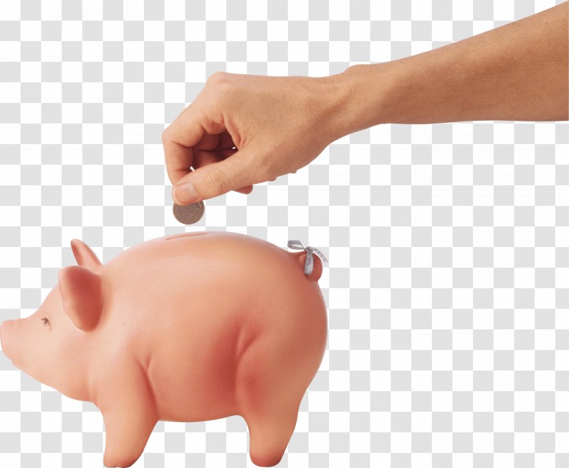 Domestic Pig Piggy Bank Icon - Like Mammal - Coin In Hand Image Transparent PNG