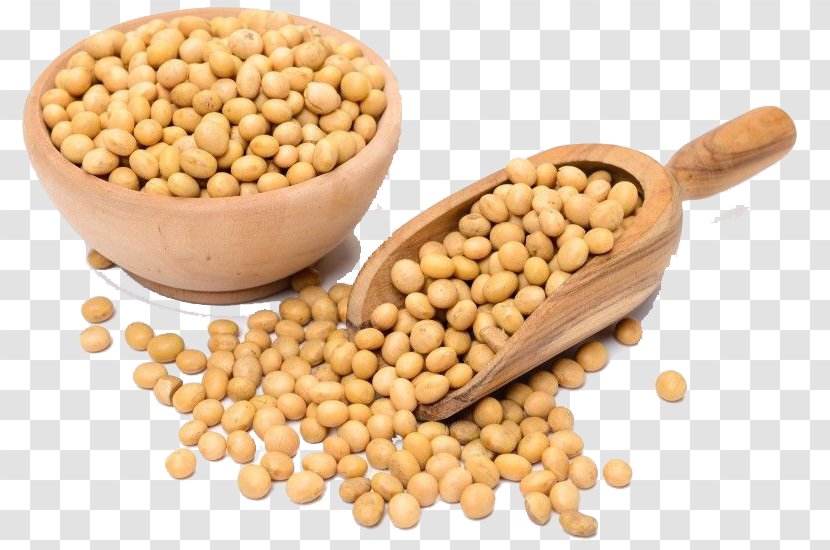 Genetically Modified Soybean Organic Food Legumes Meal - Superfood - Oil Transparent PNG