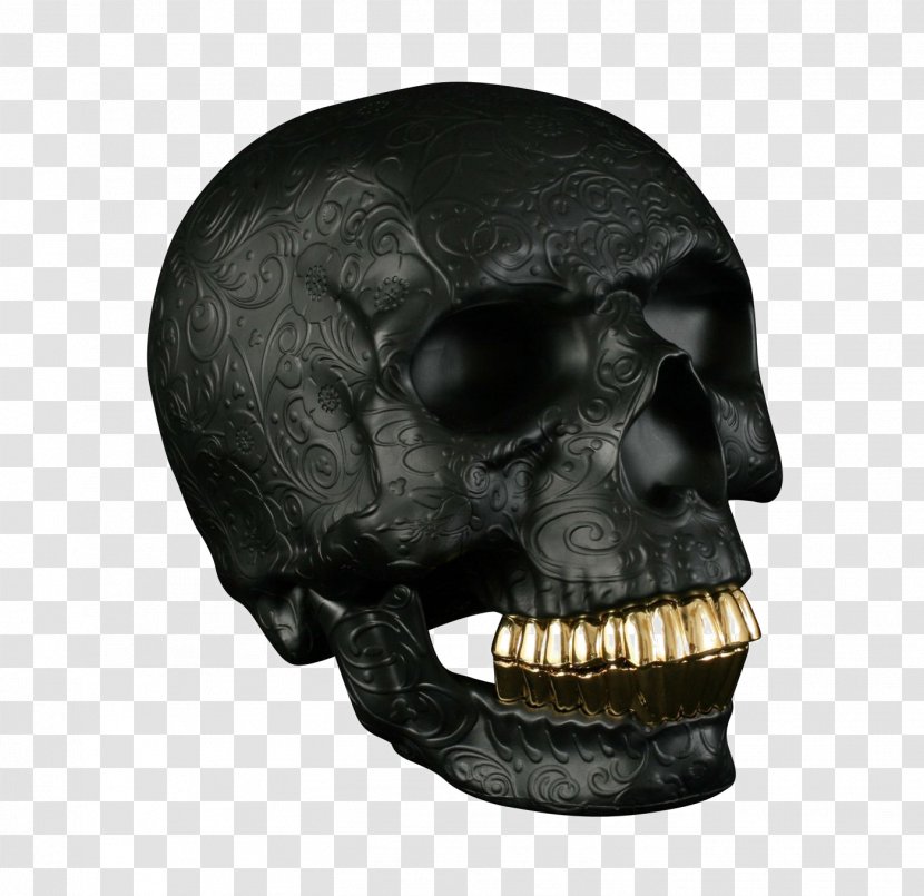 Human Skull Calavera Image Graphics Transparent PNG
