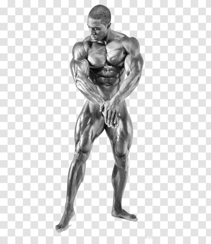 Bodybuilding.com Physical Fitness Human Body Athlete - Frame - Bodybuilding Transparent PNG