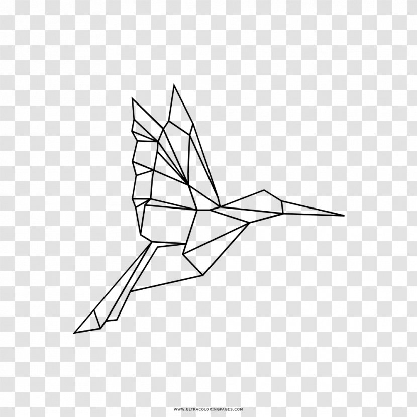 Hummingbird Drawing Coloring Book Ausmalbild Paper - Diagram - Kolibri Transparent PNG