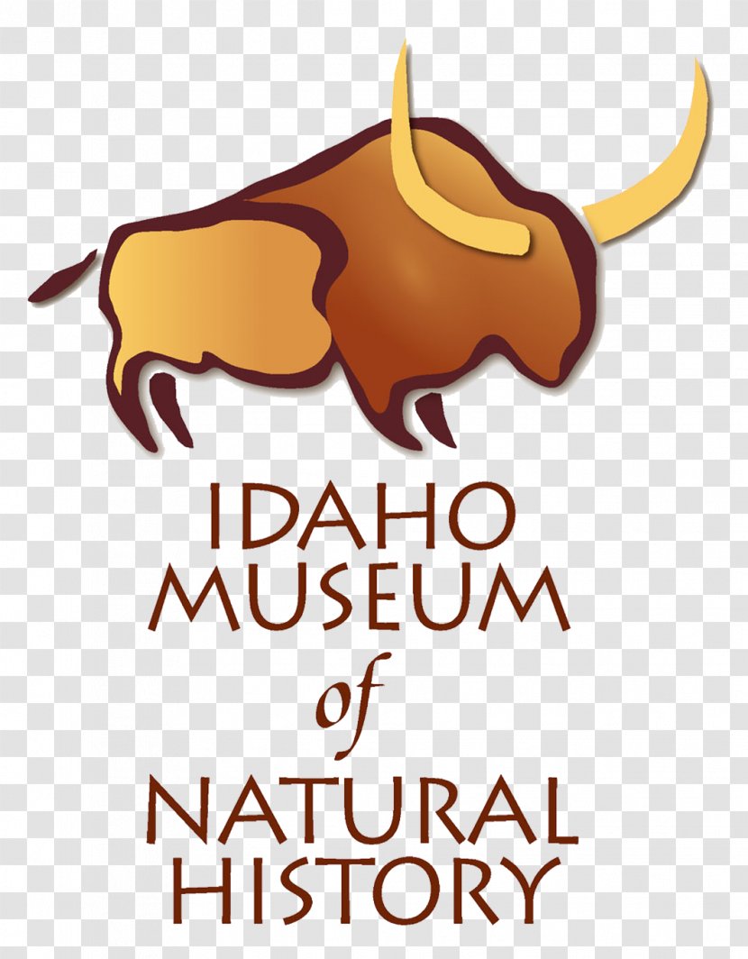 Idaho Museum Of Natural History ARTitorium On Broadway Texas Memorial - Dog Like Mammal - Science Transparent PNG