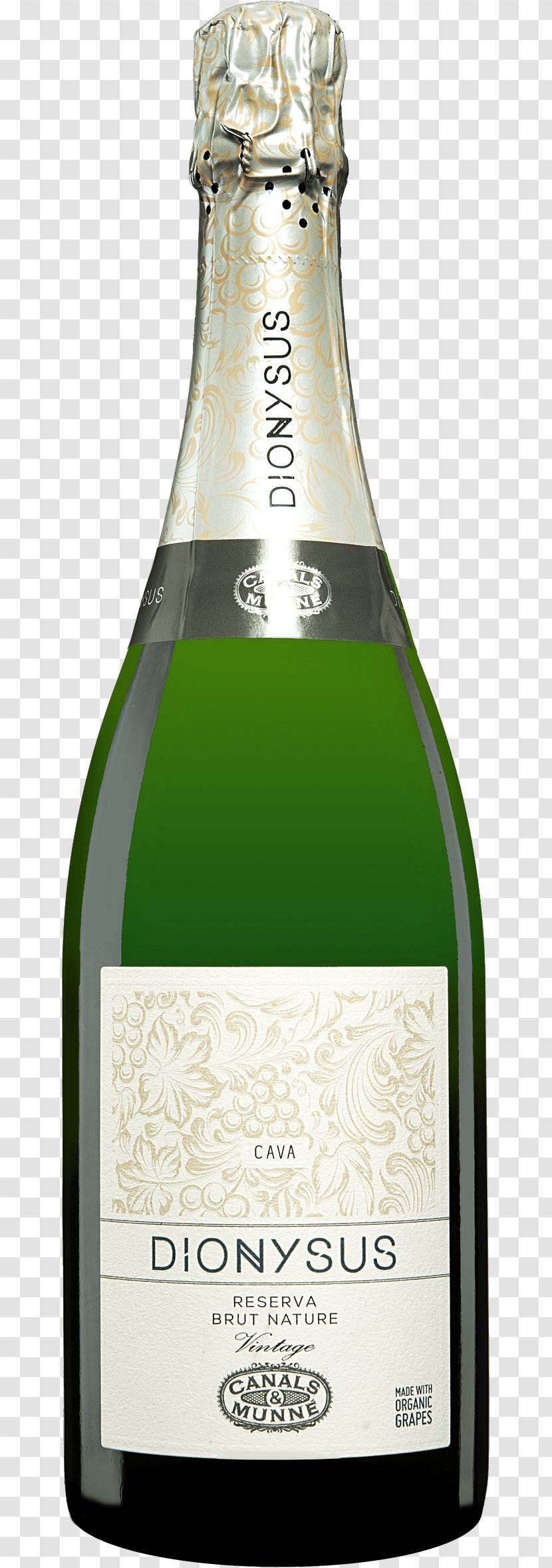 Champagne Global Wines Beer Bottle - Alinne Moraes Transparent PNG