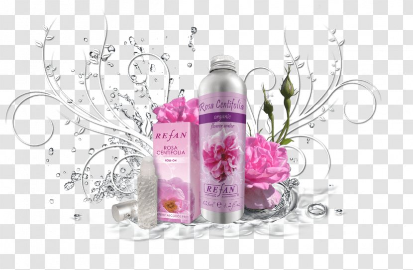 Perfume Refan Bulgaria Ltd. Cosmetics Cabbage Rose Parfumerie - Magenta - Rosa Centifolia Transparent PNG