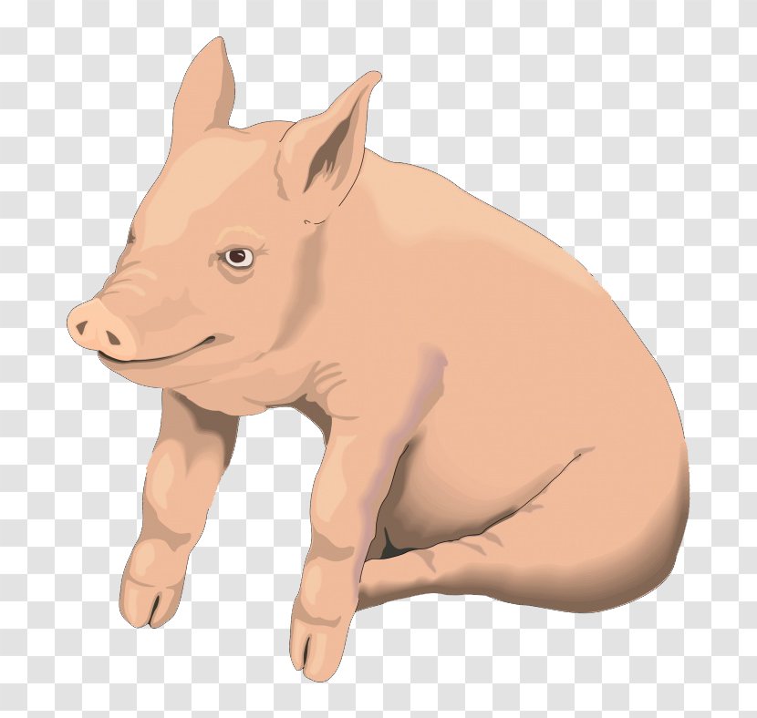 Domestic Pig Roast Clip Art - Livestock - Cartoon Transparent PNG