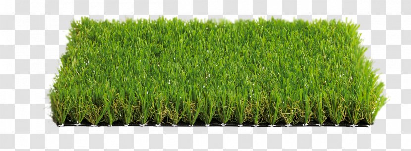 Artificial Turf Italgreen SpA Meadow Prato Price - Discount Shop - Green Landscape Transparent PNG