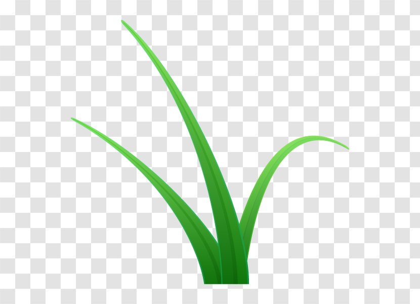 Grasses Plant Stem Flower Leaf Line - Grass Transparent PNG