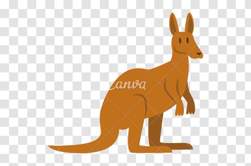 Kangaroo Red Fox Macropodidae Cartoon - Painting Transparent PNG