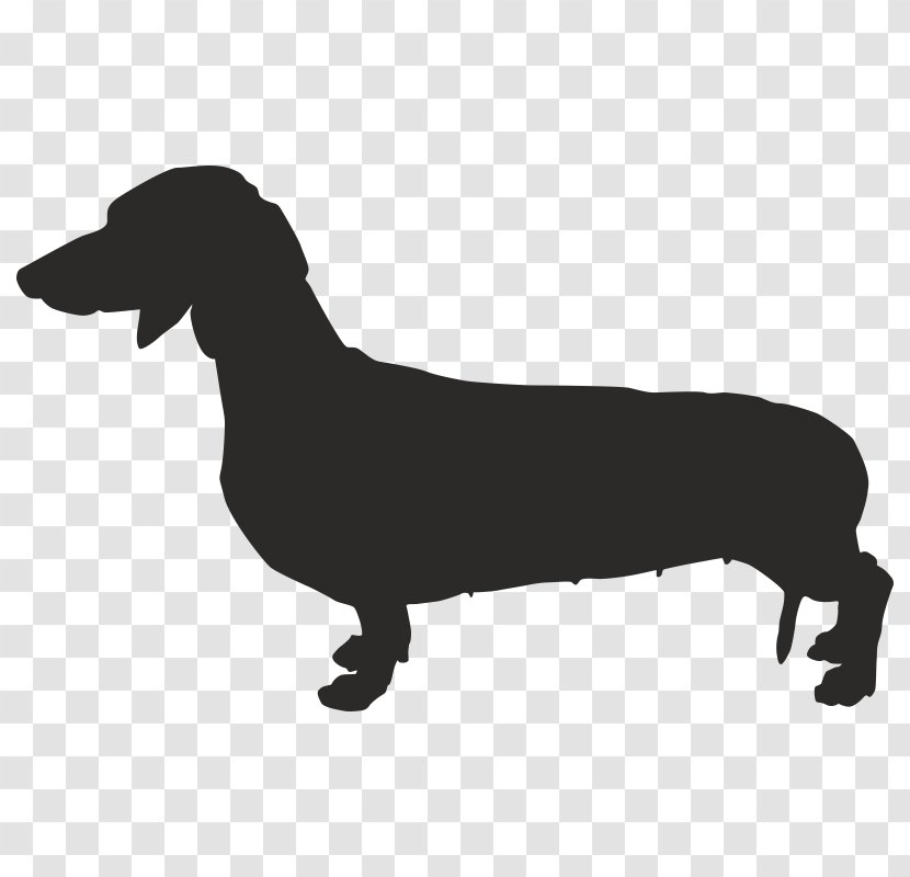 Dachshund French Bulldog Chihuahua Puppy - Dog Like Mammal Transparent PNG