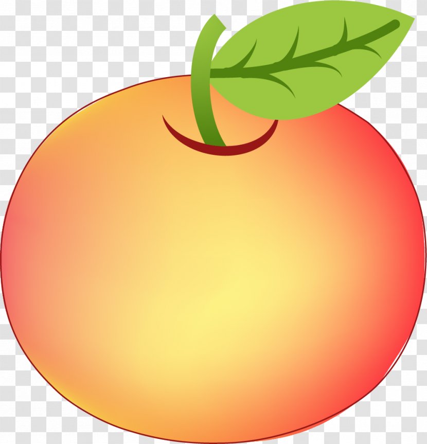 Grapefruit Little Apple Clip Art - Orange - Hand Painted Red Transparent PNG