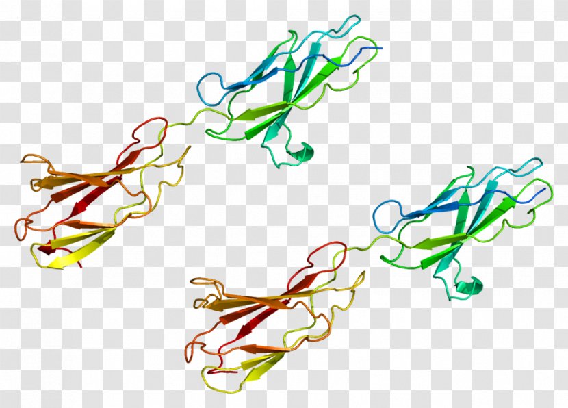Integrin Beta 4 Protein Cell Cluster Of Differentiation - Tree - Silhouette Transparent PNG